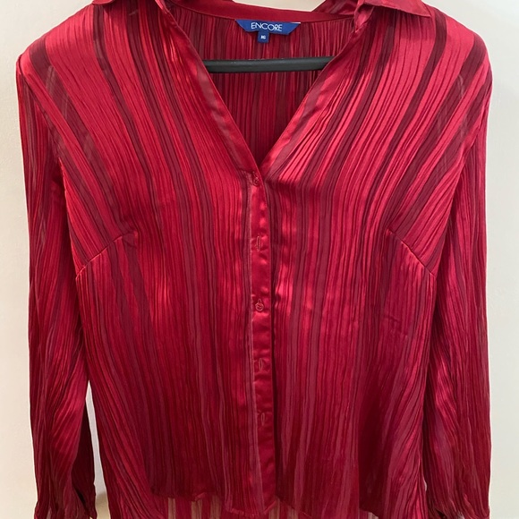 Crimson Blouse - Picture 5 of 5
